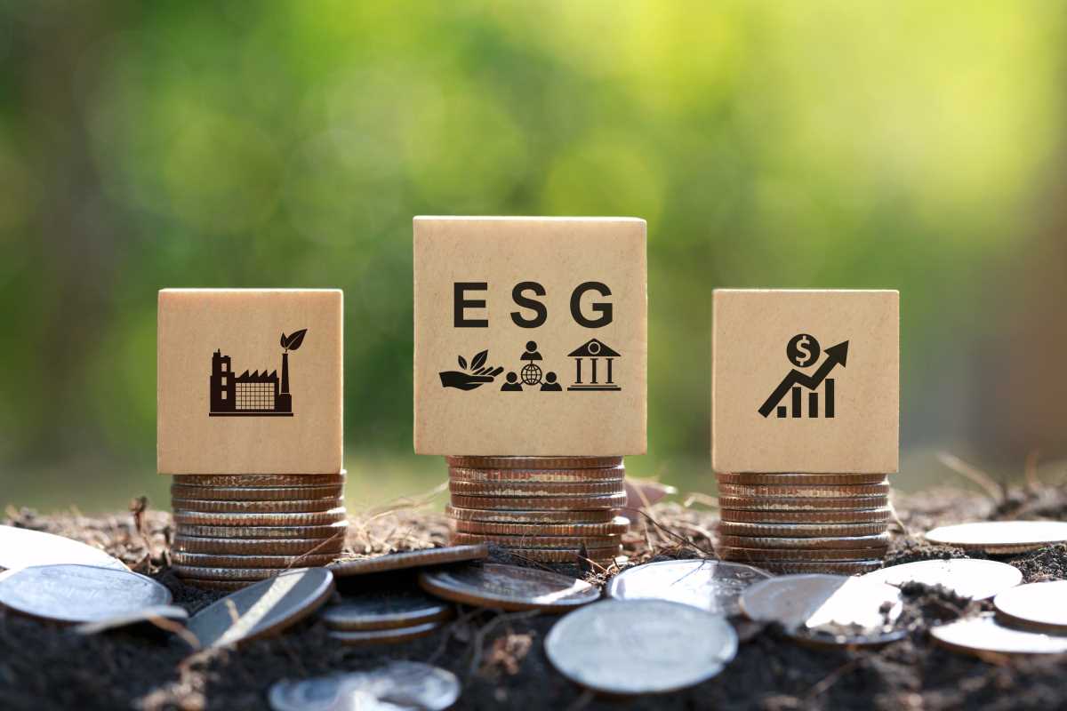 Regenerative Branding Tactics for Sustainable Growth